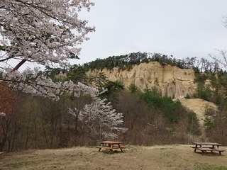 008 17.04.20 信州日帰り旅 028 鴻ノ巣.jpg