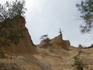 010 17.04.20 信州日帰り旅 037 鴻ノ巣.jpg