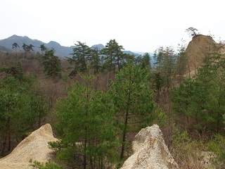 013 17.04.20 信州日帰り旅 044 鴻ノ巣.jpg