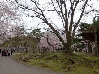 018 17.04.20 信州日帰り旅 080 懐古園.jpg
