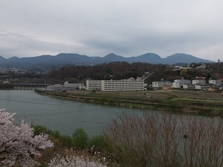 025 17.04.20 信州日帰り旅 082 浅間山・千曲川・桜.jpg