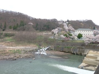 027 17.04.20 信州日帰り旅 092 向こうに懐古園.jpg