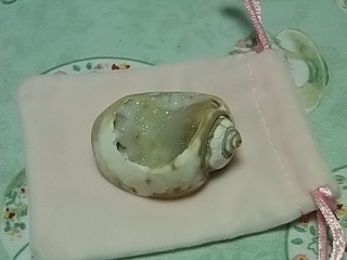 031 17.04.20 信州日帰り旅 098 クリスタルシェル.jpg