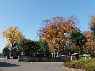 001 16.11.17 004 一言主神社.jpg
