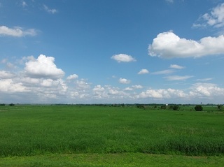 001 17.06.01 001 北エントランスから.jpg