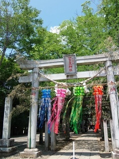 001 17.07.06 033 一言主神社の七夕.jpg