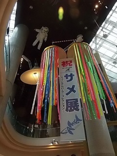 001 17.10.13 055 サメ展.jpg