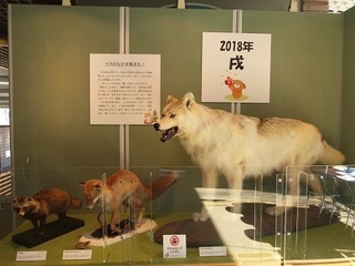 001 18.01.11 001 戌年の展示.jpg