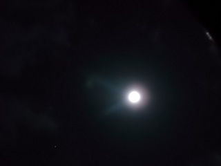 002 17.06.09 014 ˎ{BƓyB.jpg