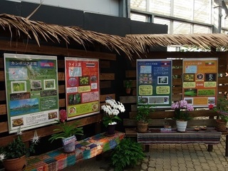 002 17.10.09 002 東南アジアの植物展.jpg