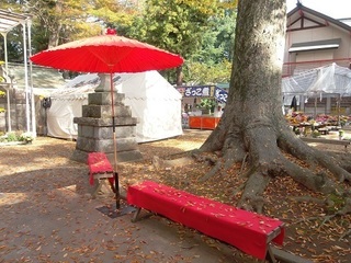 002 17.11.02 009 一言主神社、落ち葉.jpg