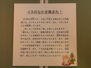 002 18.01.11 002 戌年の展示.jpg