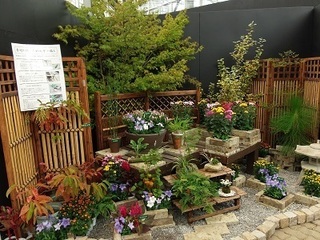 003 16.09.15 とちぎ花センター他 010 和風庭園.jpg