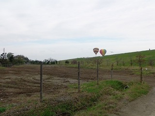 003 16.10.30 スカイフェスティバル 005 遺跡発掘跡.jpg