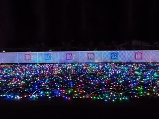 003 16.12.24 東武動物公園イルミネーション 003 植え込み.jpg