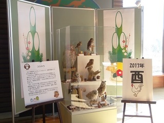 003 17.01.05 一言主神社へ初詣他 005 鳥たち.jpg