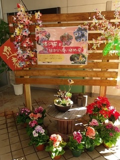 003 17.01.07 010 春の花と縁起の良い植物展.jpg