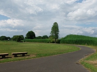 003 17.06.01 008 子供広場.jpg