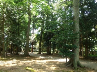 003 17.07.13 004 一言主神社・境内の森.jpg