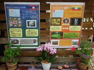003 17.10.09 005 東南アジアの植物展.jpg