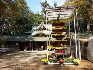 003 17.11.02 010 一言主神社、五重塔.jpg