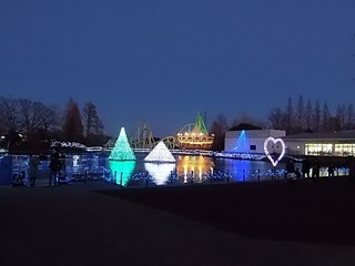 004 17.02.12 東武動物公園ウィンターイルミネーション 011 鯉牧場.jpg