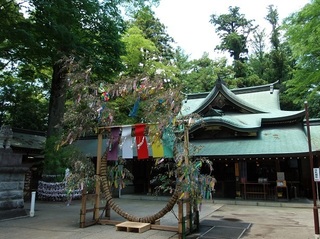 004 17.07.06 030 一言主神社の七夕.jpg