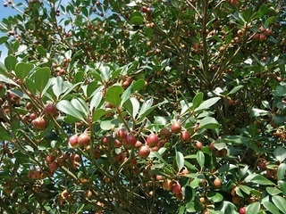 005 16.10.12 014 bRN.jpg