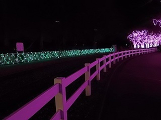 005 16.12.24 東武動物公園イルミネーション 012 太陽の恵み鉄道パークライン.jpg