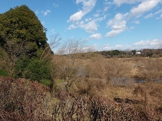 005 17.01.05 一言主神社へ初詣他 009 菅生沼.jpg