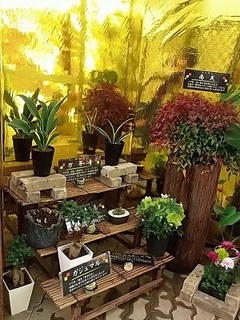 005 17.01.07 012 ナンテンほか.jpg