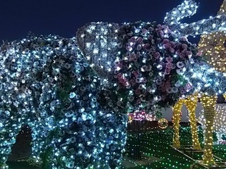 005 17.02.12 東武動物公園ウィンターイルミネーション 013 花で出来たゾウ.jpg