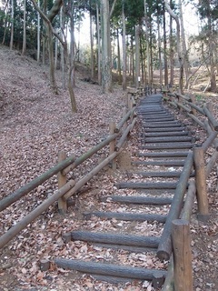 005 17.02.16 みかも山冒険他 009 階段.jpg