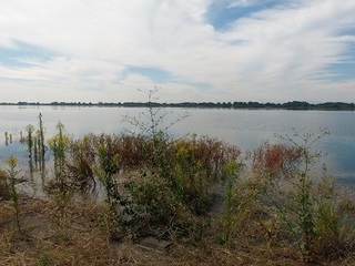 006 16.10.12 019 J.jpg