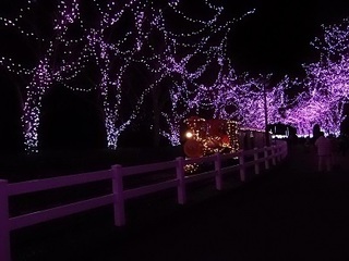 006 16.12.24 東武動物公園イルミネーション 018 太陽恵み鉄道パークライン.jpg