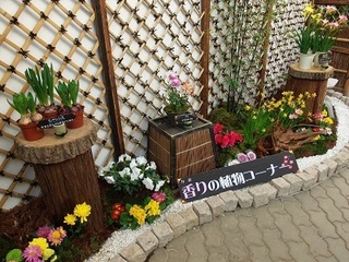 006 17.01.07 016 香りの植物コーナー.jpg