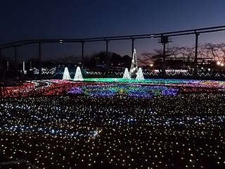 006 17.02.12 東武動物公園ウィンターイルミネーション 016 ハートフルガーデン.jpg