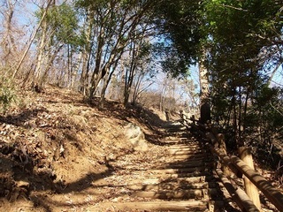 006 17.02.16 みかも山冒険他 012 階段.jpg