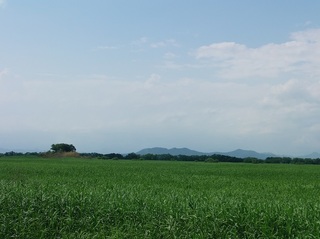 006 17.06.01 015 三毳山.jpg