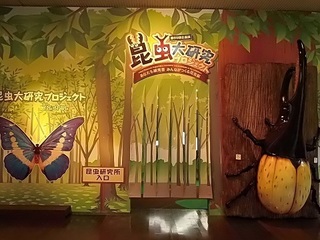 006 17.07.13 011 昆虫展入口.jpg