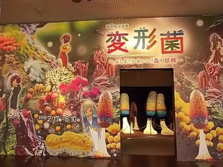 006 18.03.01 013 変形菌展.jpg