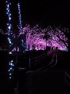 007 16.12.24 東武動物公園イルミネーション 022 太陽恵み鉄道パークライン踏切.jpg