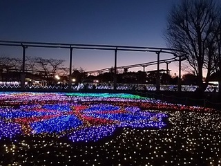 007 17.02.12 東武動物公園ウィンターイルミネーション 018 ハートフルガーデン.jpg