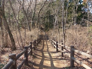 007 17.02.16 みかも山冒険他 015 遊歩道.jpg