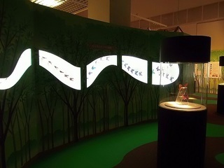007 17.07.13 013 昆虫展.jpg