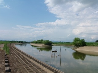 008 17.06.01 018 地内水路.jpg