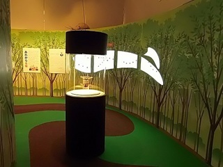 008 17.07.13 017 昆虫展.jpg