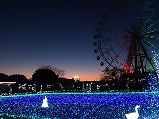 009 17.02.12 東武動物公園ウィンターイルミネーション 022 大観覧車.jpg