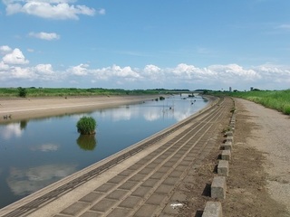 009 17.06.01 019 古河の街遠望.jpg