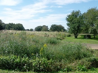 010 16.10.12 026 VƃIM.jpg
